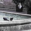 img_5788