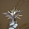 img_5801