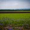 img_5833